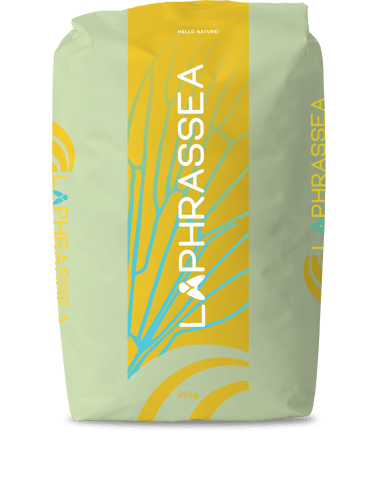 IP_laphrassea IP_laphrassea